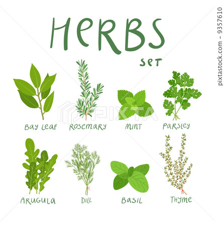 Herbs 9357610