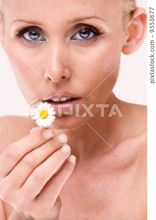 beauty daisy 9358677
