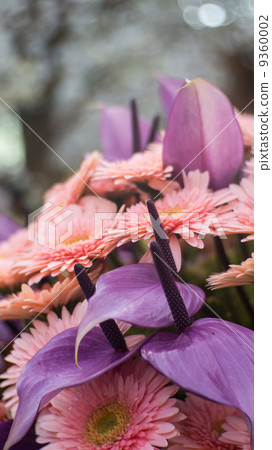 Chrysanthemum flowers and flamingo flower 9360002