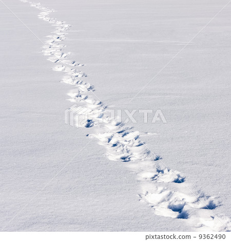 Footsteps On The Snow Footsteps On The Snow 9362490