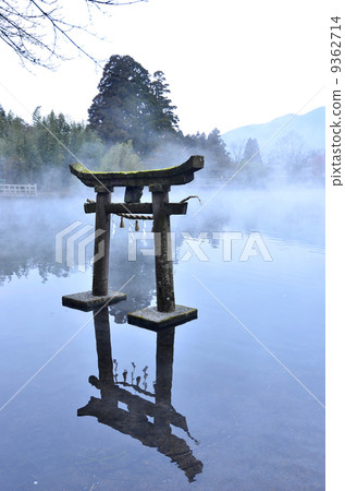 Gold scales in winter 9362714