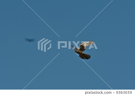 Zhengzhou to hover Zhengzhou to hover 9363039