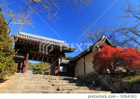 Autumn's Bishamon Doorr 9364163