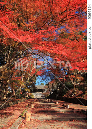 Autumn's Bishamon Doorr Autumn's Bishamon Doorr 9364164