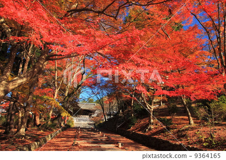 Autumn's Bishamon Doorr Autumn's Bishamon Doorr 9364165