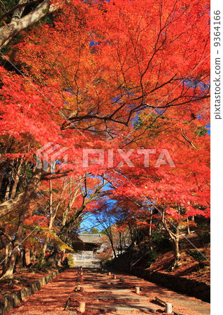 秋天的Bishamon門衛 秋天的Bishamon門衛 9364166