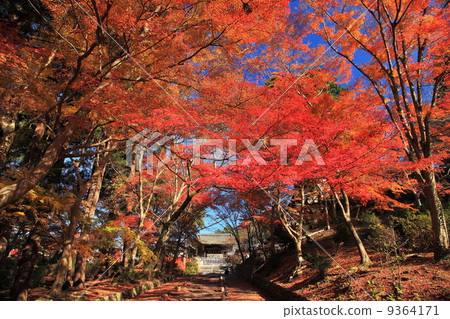 Autumn's Bishamon Doorr Autumn's Bishamon Doorr 9364171