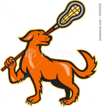 Dog With Lacrosse Stick Side View 9365056