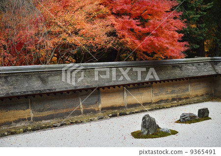 Ryoanji Temple Ishigami Autumn leaves fall 9365491