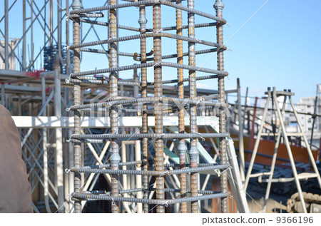 Columnar muscle Columnar muscle 9366196