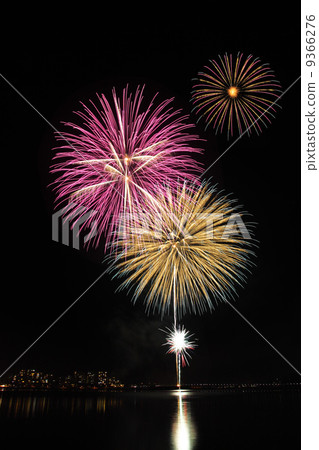 煙花 9366276
