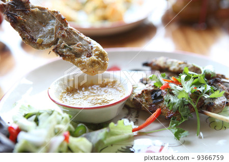 Chicken Satay 9366759