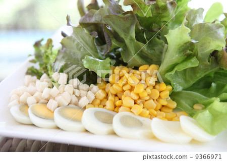 ceacar salad in close up 9366971