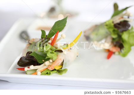 Spring Roll also known as Egg Roll 9367663