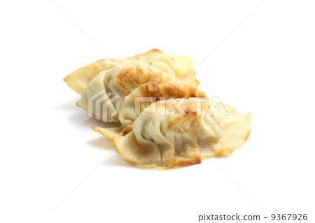 gyoza isolated in white background gyoza isolated in white background 9367926