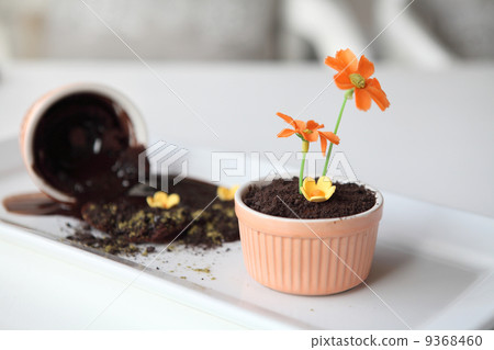 chocolate pudding dirt 9368460