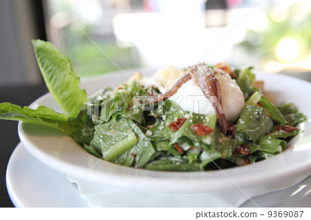 ceacar salad in close up 9369087