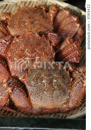 毛蟹 9369412