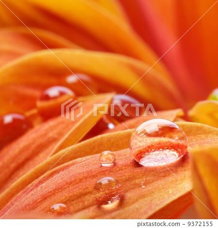9372155