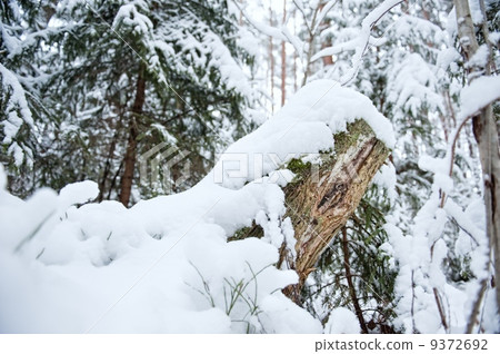 9372692