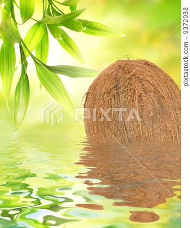Coconut reflected in water 9372938