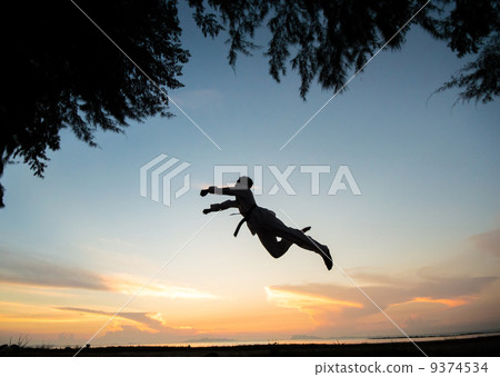 silhouette silhouette 9374534