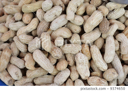 cooked peanut 9374650