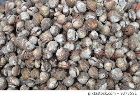 raw sea food raw sea food 9375551