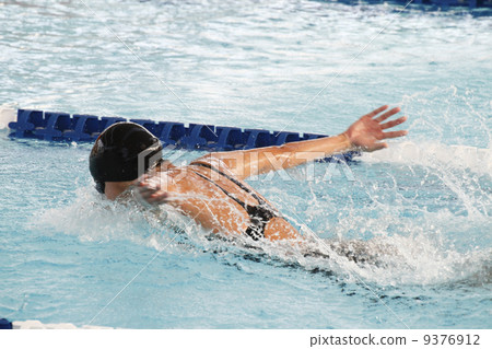 butterfly butterfly 9376912