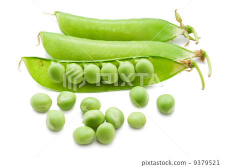Pea Pea 9379521