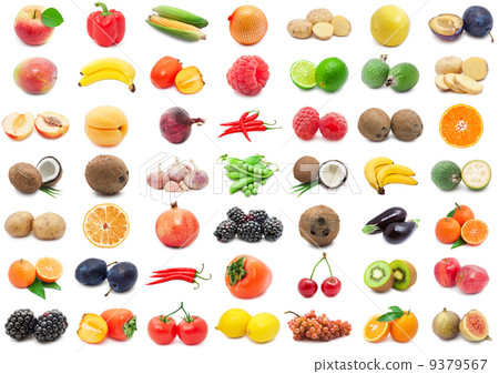 Fruits and Vegetables 9379567