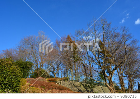 冬季生長亞麻花園公園 9380735