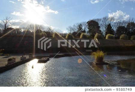 冬季景區相模原公園 冬季景區相模原公園 9380749