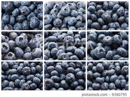 Blueberries 9380795