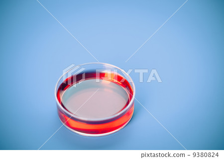 petri dishes , pathogens test petri dishes , pathogens test 9380824