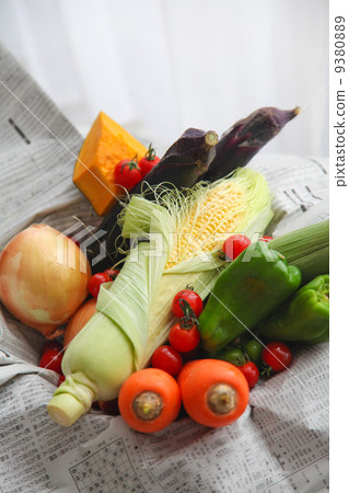 Summer vegetable 9380889