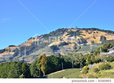 茶的特徵異常的Awaogatake（Shikoka縣掛川市/島田市） 9380905