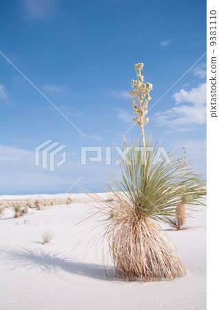 White Sands fantasy landscape 2 9381110