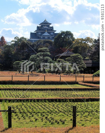 Okayama Castle can be seen in a distant view Okayama Korakuen in winter dead 9381113