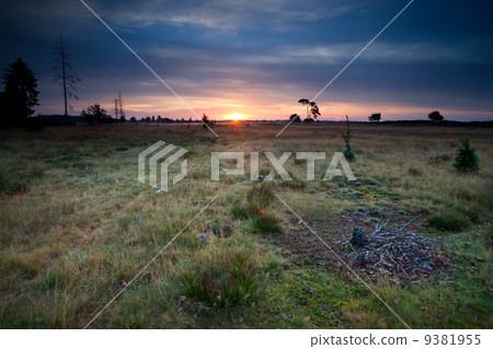 sunrise over dunes and meadows sunrise over dunes and meadows 9381955
