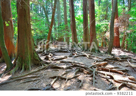 Kuramayama Kinen Road 9382211