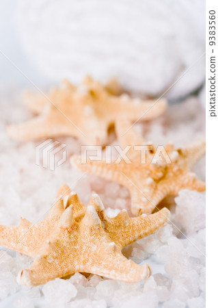 seasalt, towel and sea stars 9383560