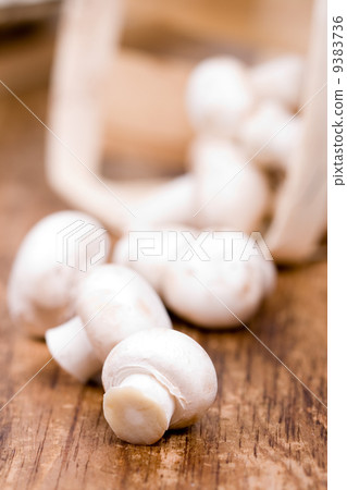 fresh champignon 9383736