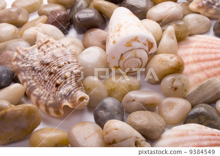 sea shells and pebble sea shells and pebble 9384549