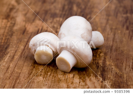 three fresh champignon three fresh champignon 9385396