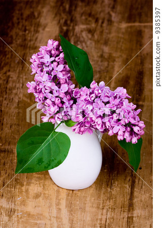 lilac blooms lilac blooms 9385397