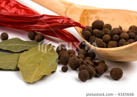 spices 9385686