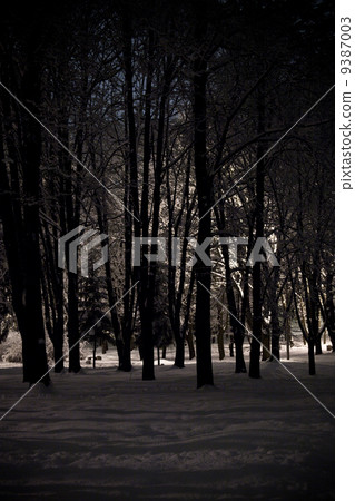 winter night landscape winter night landscape 9387003