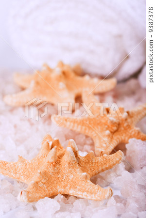 seasalt, towel and starfish 9387378