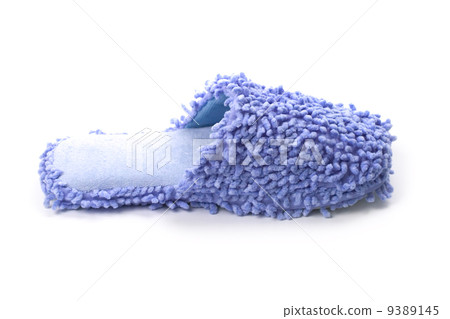 blue slipper 9389145